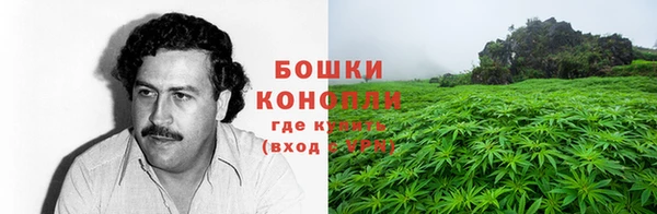 ПСИЛОЦИБИНОВЫЕ ГРИБЫ Осташков