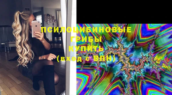 ПСИЛОЦИБИНОВЫЕ ГРИБЫ Осташков