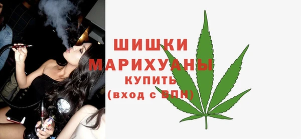 ПСИЛОЦИБИНОВЫЕ ГРИБЫ Осташков