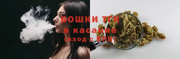 ПСИЛОЦИБИНОВЫЕ ГРИБЫ Осташков
