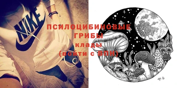 ПСИЛОЦИБИНОВЫЕ ГРИБЫ Осташков