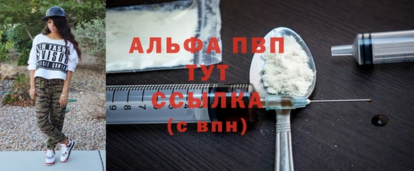 стафф Чекалин